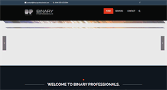 Desktop Screenshot of binaryprofessionals.com